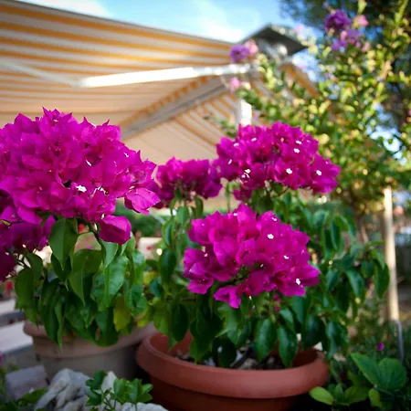 Гостевой дом Pansion Burin