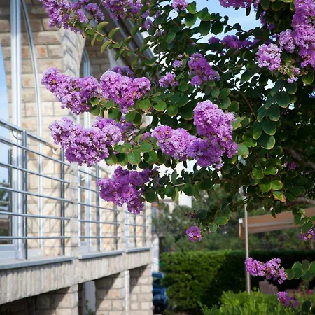Pansion Burin Baška