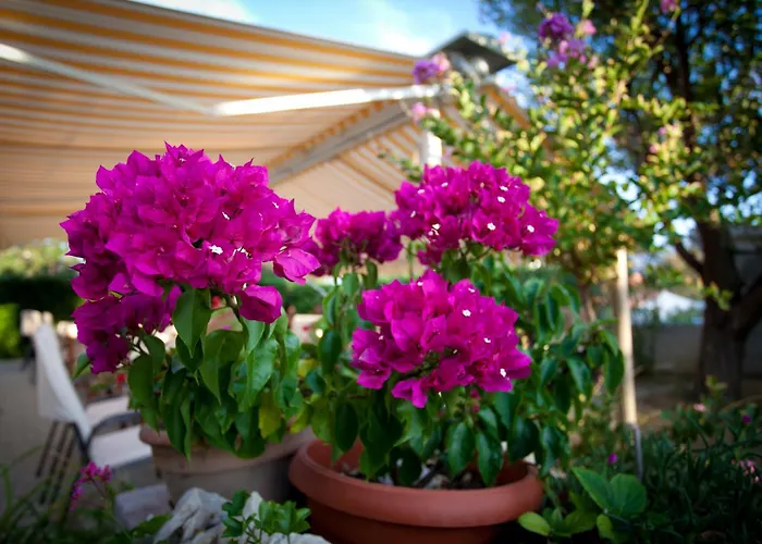 Πανσιόν Pansion Burin