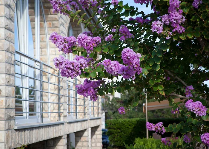 Pansion Burin Baška